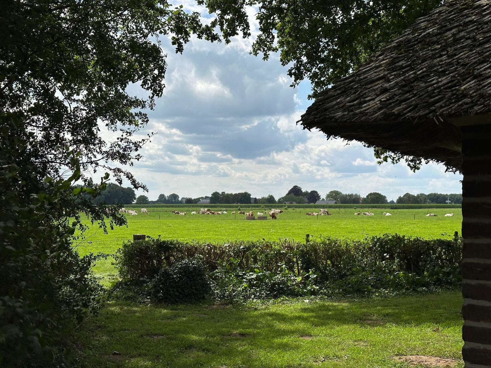 Zijkant