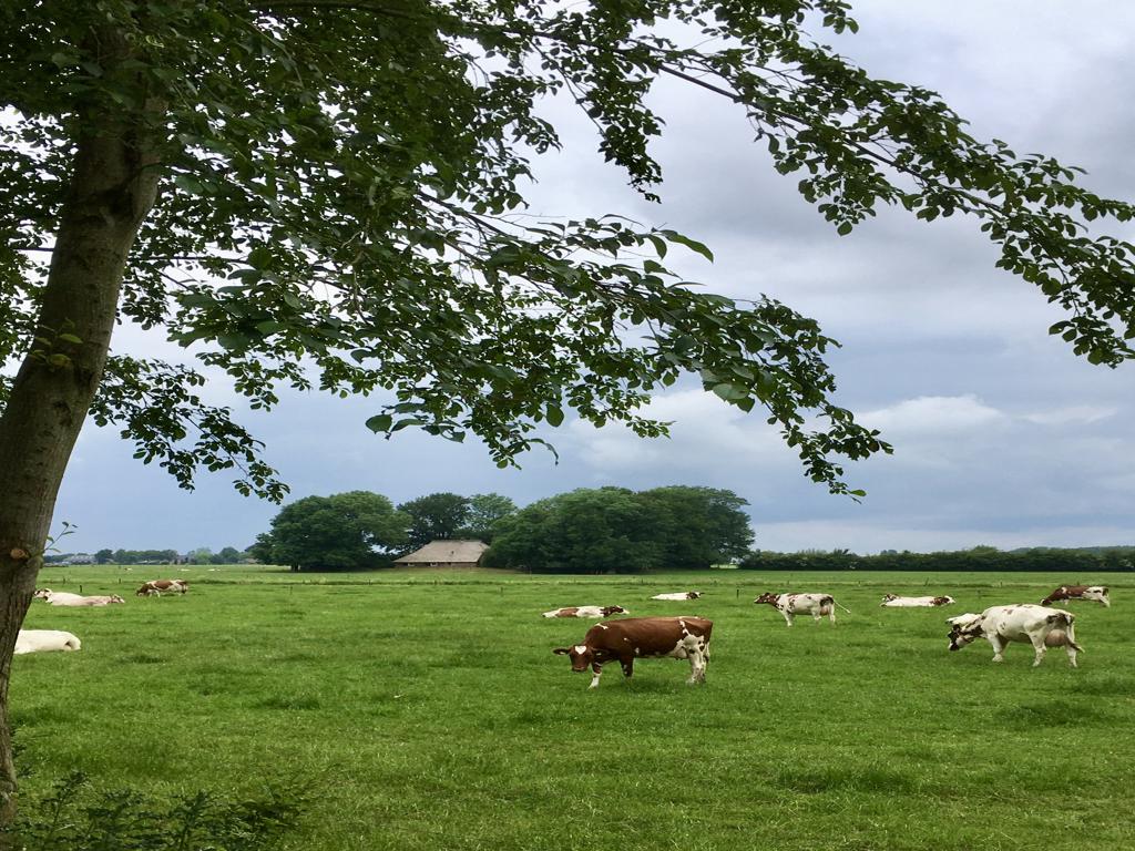 Zijkant